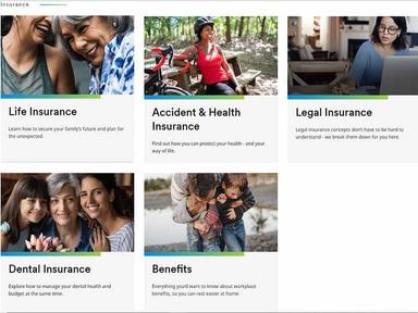MetLife Insurance Categories