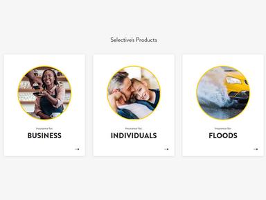 Selective Insurance Products