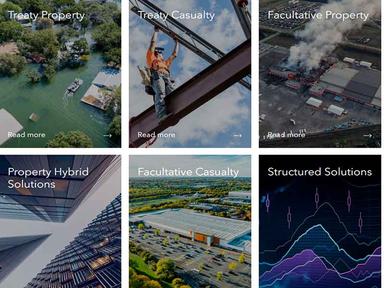 Everest Reinsurance services