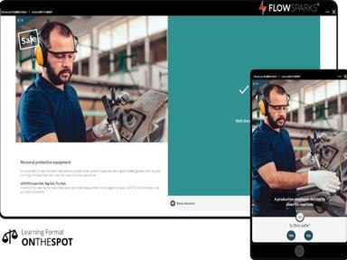 FLOWSPARKS Responsive Screen