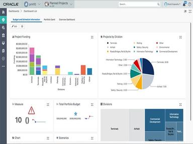 Primavera Cloud Optimize Portfolio Performance