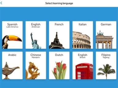 Rosetta Stone Enterprise Main Interface