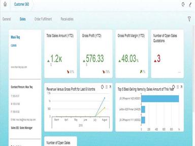 OptiProERP 360 Customer View