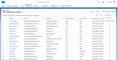 Salesforce Engage Leads