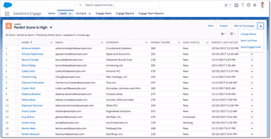 Salesforce Engage Leads