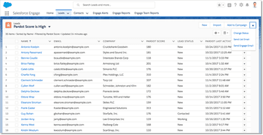 Salesforce Engage Leads