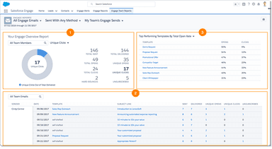 Salesforce Engage Team Reports