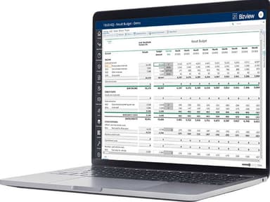 Bizview Budget