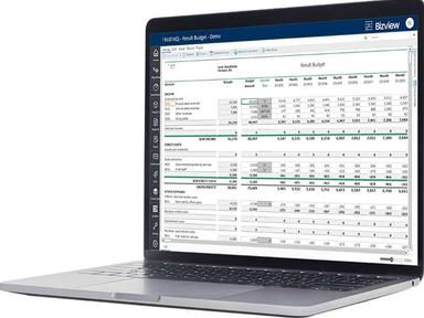 Bizview Budget