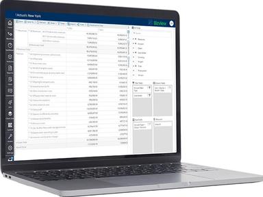 Bizview Workflow