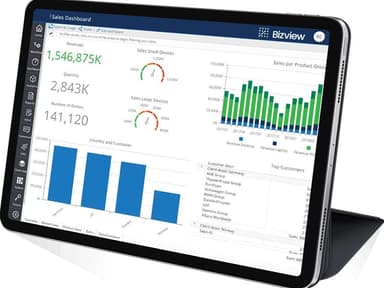 Bizview Sales Dashboard