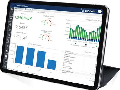 Bizview Sales Dashboard