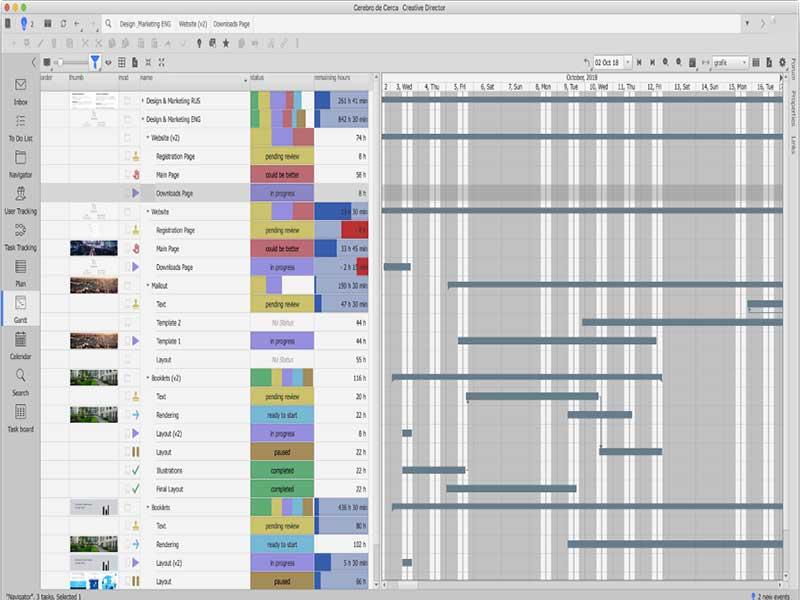 Cerebro Gantt Chart