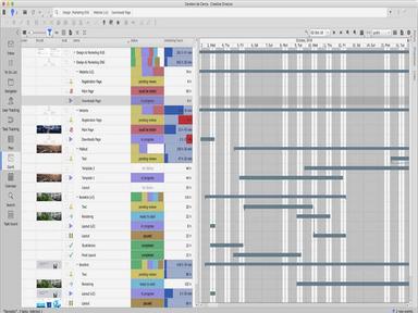 Cerebro Gantt Chart