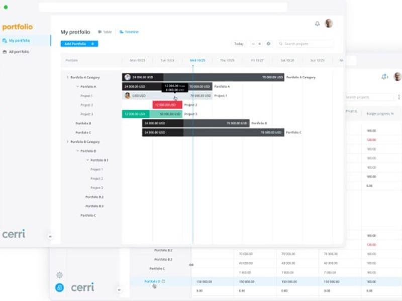 Cerri Software Portfolio Management