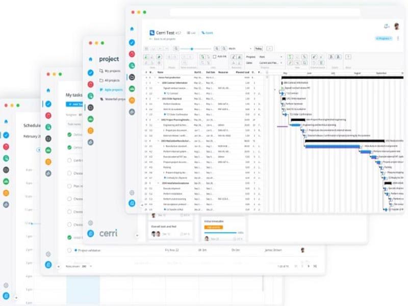 Cerri Software Project Planning