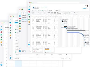 Cerri Software Project Planning