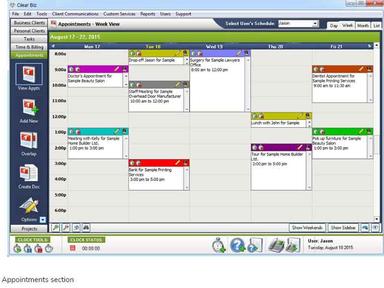 Clear Biz Appointments Section