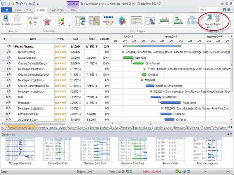 ConceptDraw Project Capture Slides