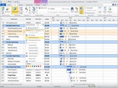 ConceptDraw Project New Project Group