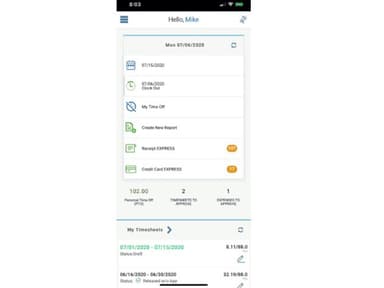 DATABASICS Time and Expense Mobile