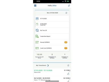 DATABASICS Time and Expense Mobile