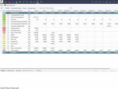 Deltek WorkBook Cash Flow Forecast