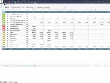 Cash Flow Forecast