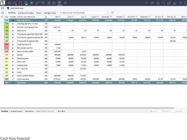 Deltek WorkBook Cash Flow Forecast