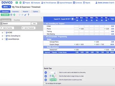 Dovico Software My Time and Expenses Timesheet