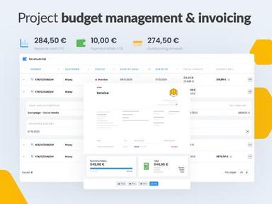 Firmbee - Project Budget Management & Invoicing