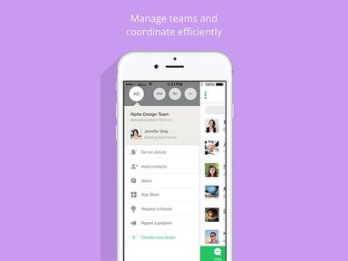 Flock Software Team Management