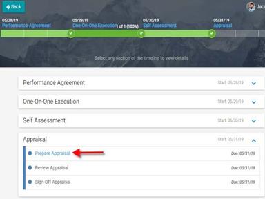 Performance Appraisal Snapshot