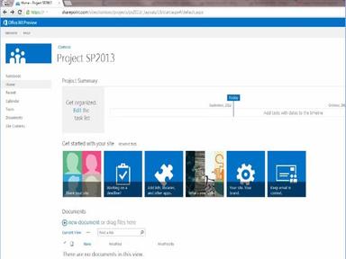 Microsoft SharePoint - Project Summary