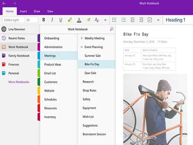 Microsoft OneNote Workbook Tabs