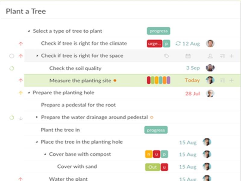 Quire task management