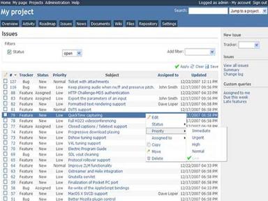 Redmine Software Project
