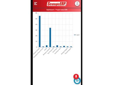 StrategicERP - Mobile View