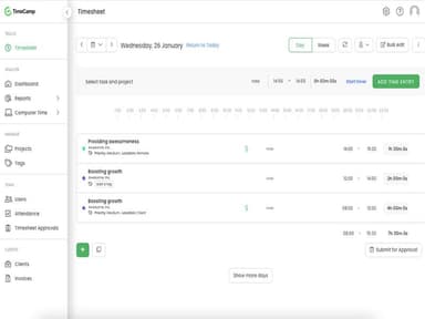 TimeCamp-Daily-timesheet