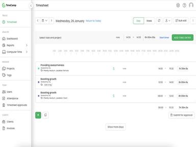 TimeCamp-Daily-timesheet