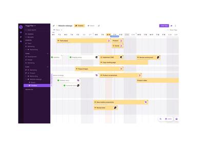Toggl plan Project Timelines