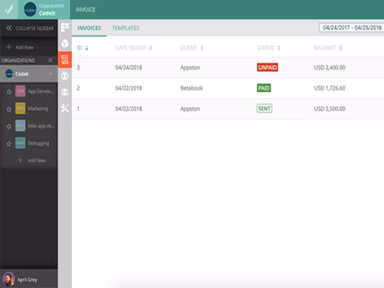 VivifyScrum - Invoicing