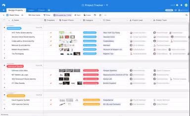 Airtable Software Project Tracker
