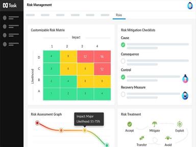 nTask Risk Management