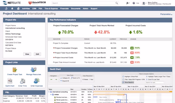 NetSuite Project KPIs