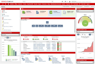 NetSuite Project Management Analysis