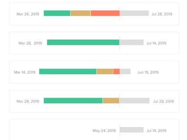 TeamGantt Report