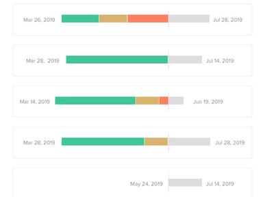 TeamGantt Report