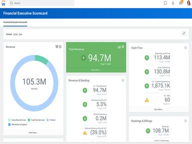 Workday Financial Management Financial Executive Scorecard