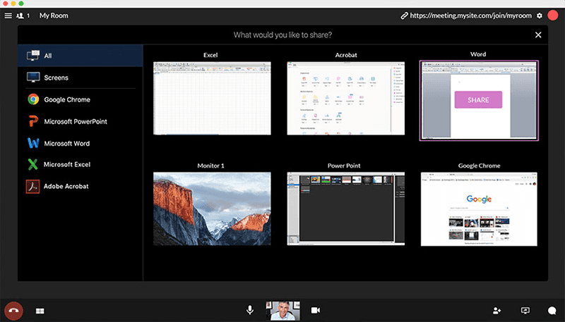 Vidyo Share